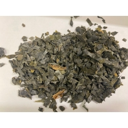 Laminaria Listownica Japońska 100 G